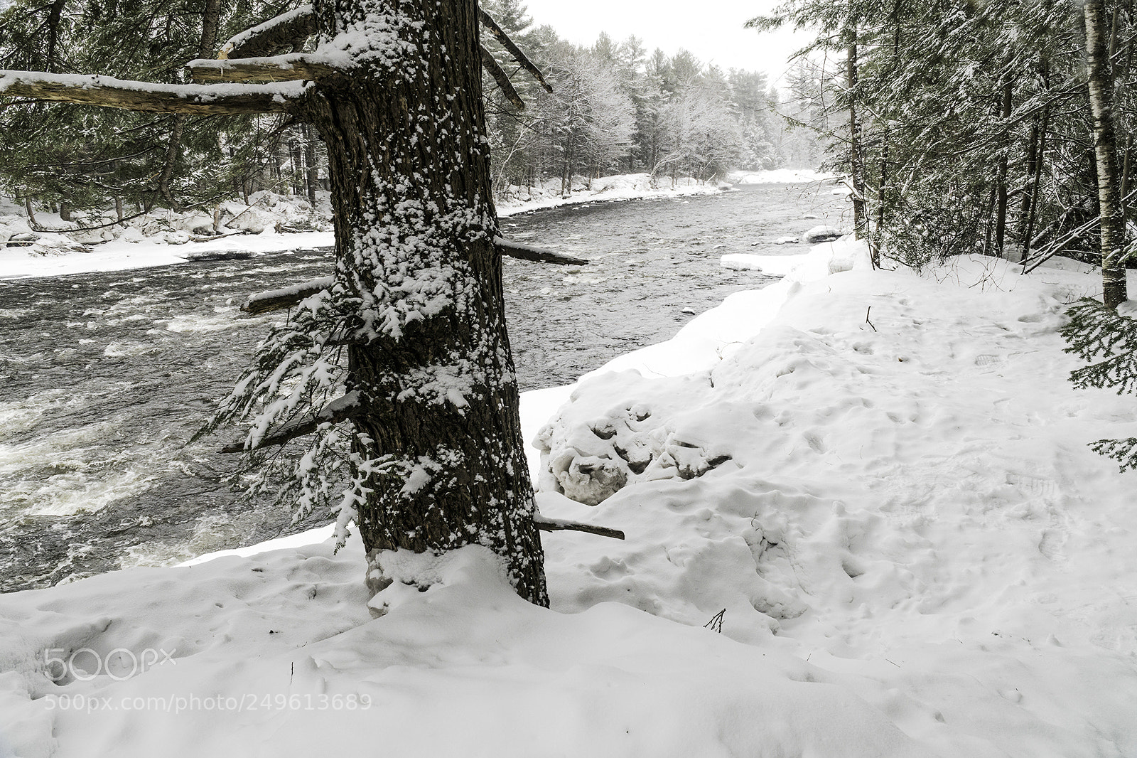 Sony a6500 sample photo. Rivière du nord photography