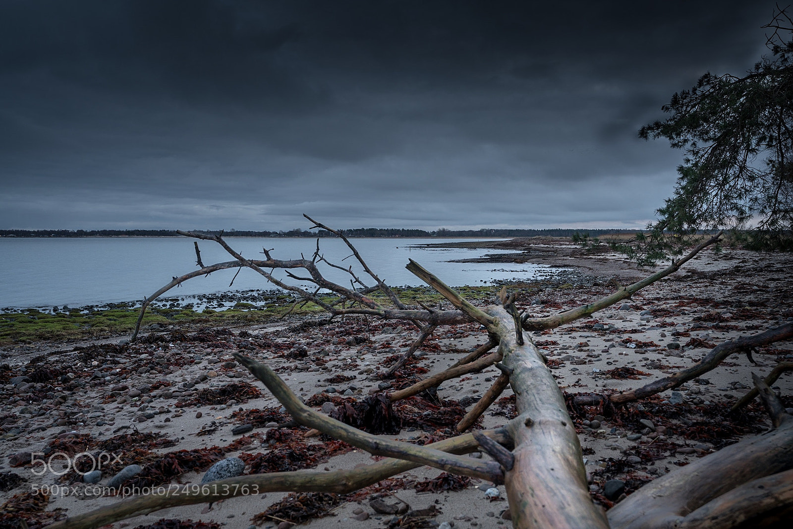Sony a7R III sample photo. Untitled photography