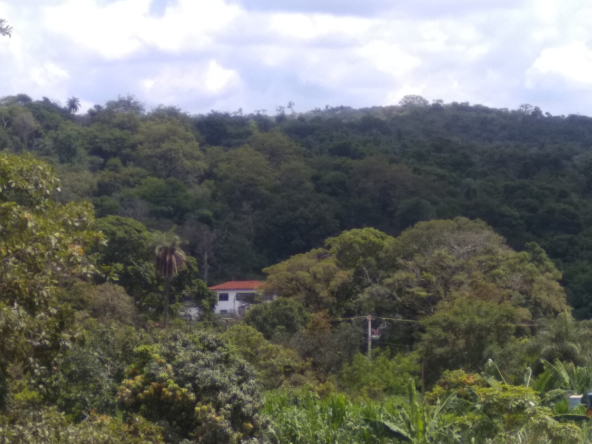 Xiaomi MI MAX sample photo