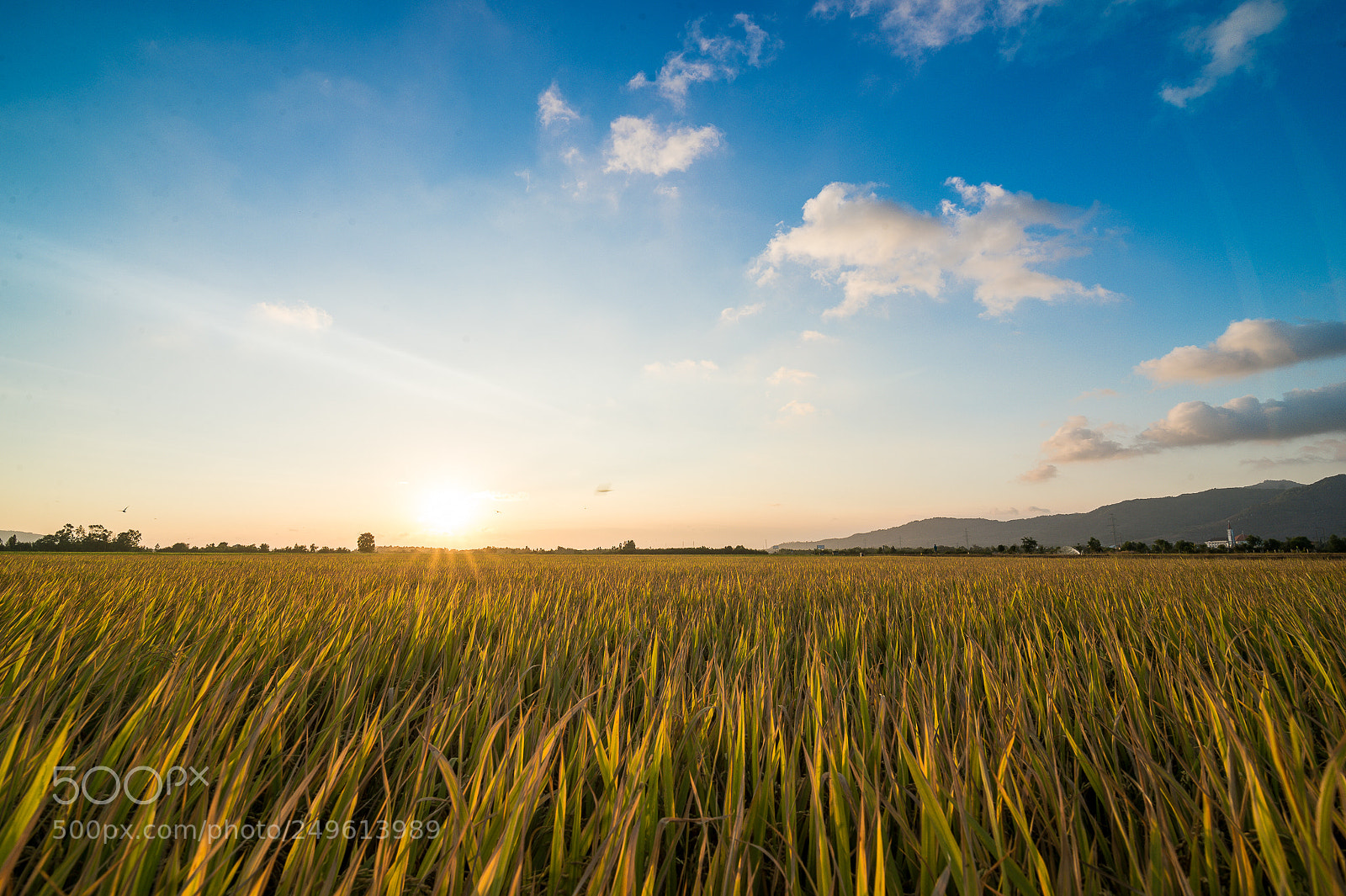 Nikon Df sample photo. Untitled photography
