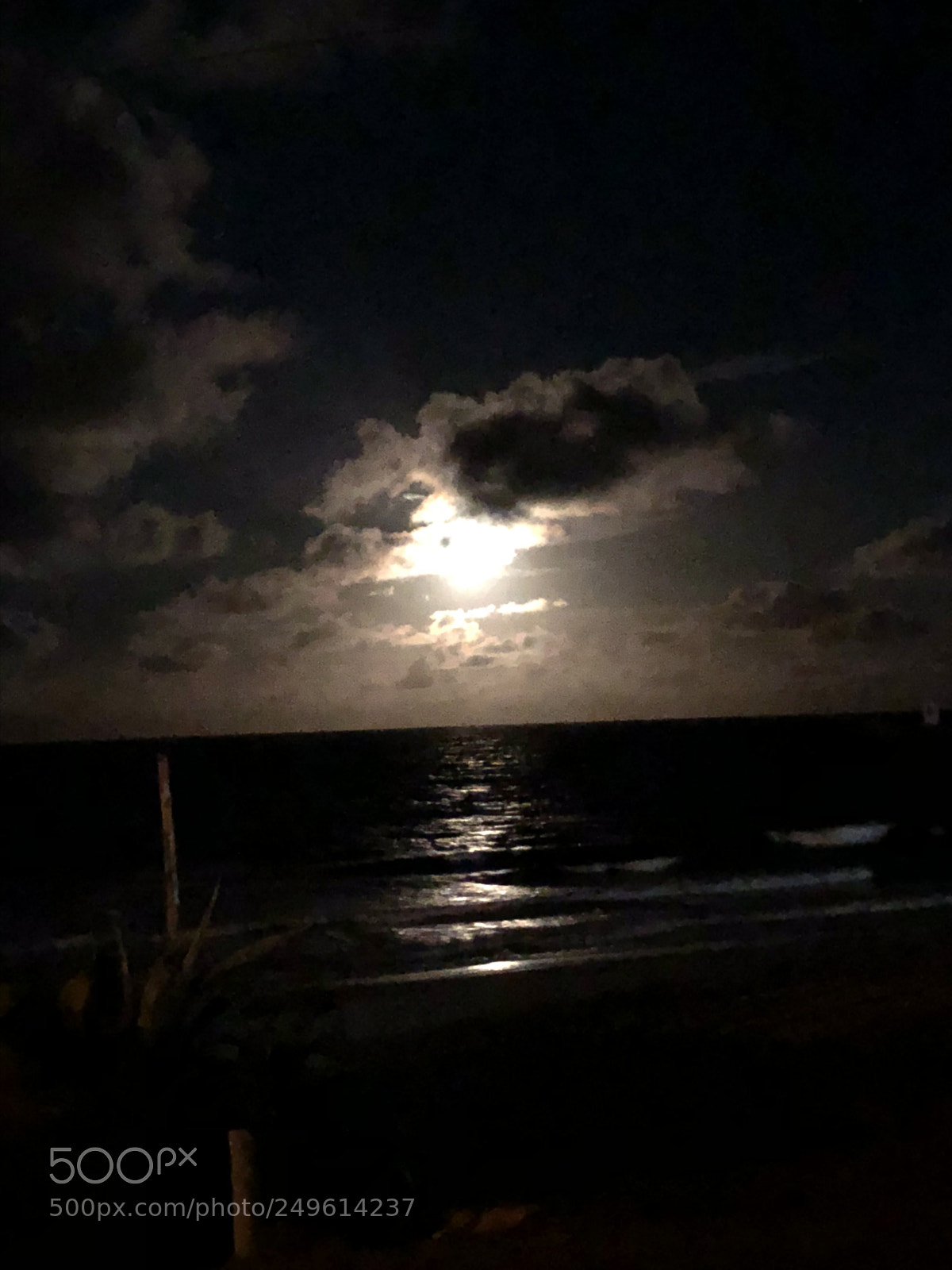 Apple iPhone 8 sample photo. Night photography