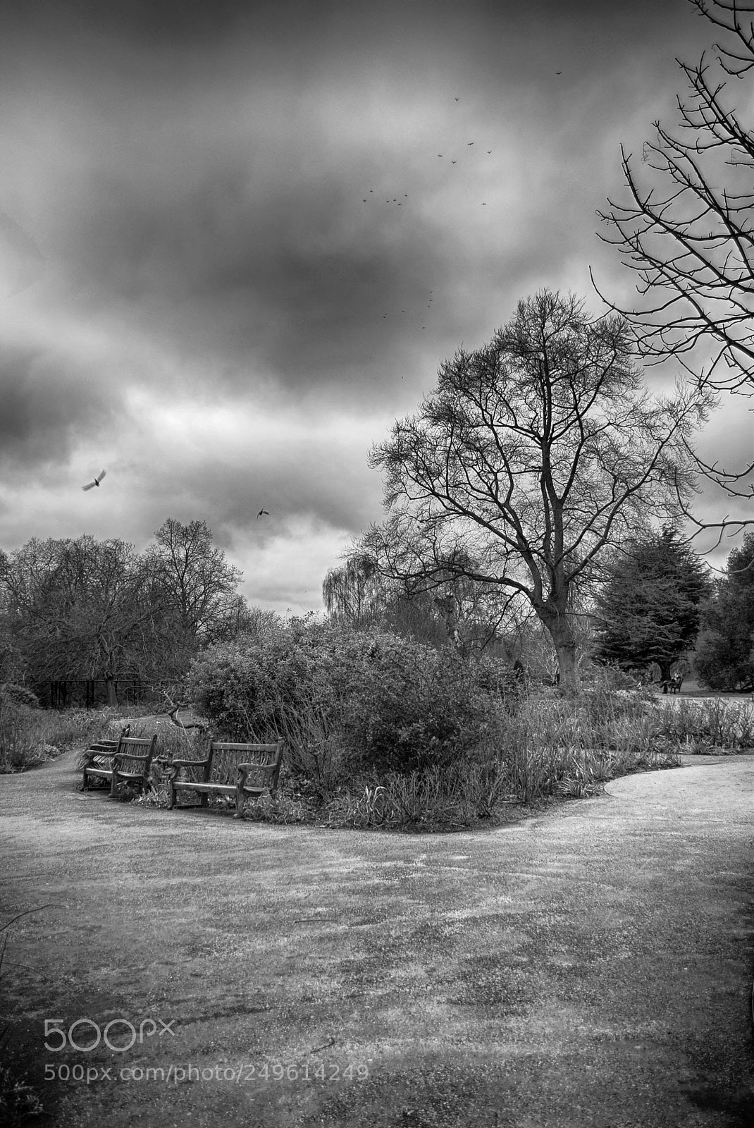 Nikon D5300 sample photo. Hyde park photography