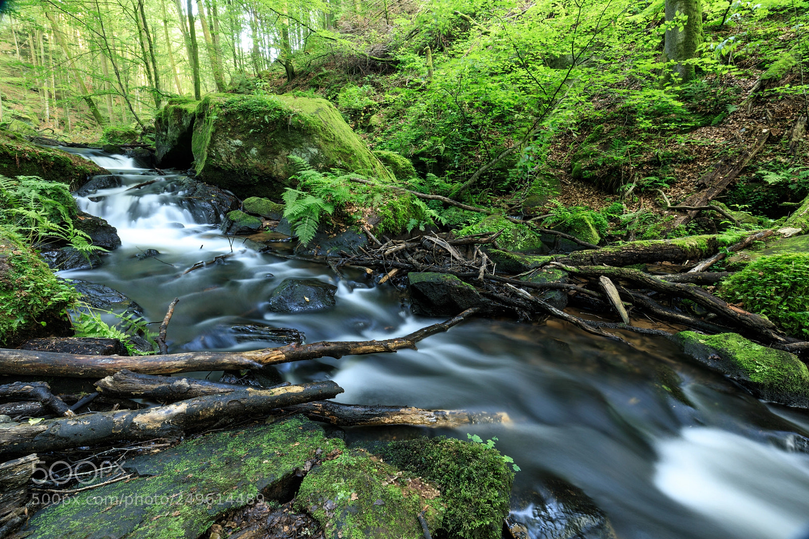 Canon EOS 5D Mark IV sample photo. Karlstalschlucht #1 photography