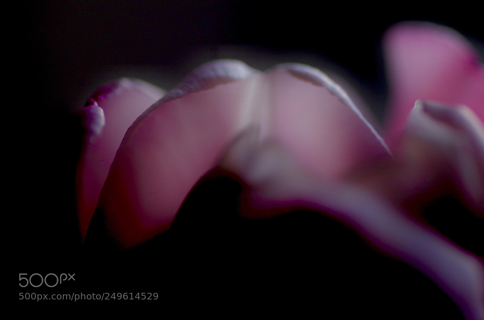 Pentax K-50 sample photo. Color play photography