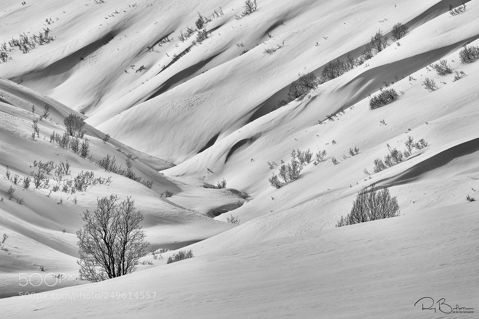 Canon EOS 5D Mark IV sample photo. Winter's curves too photography