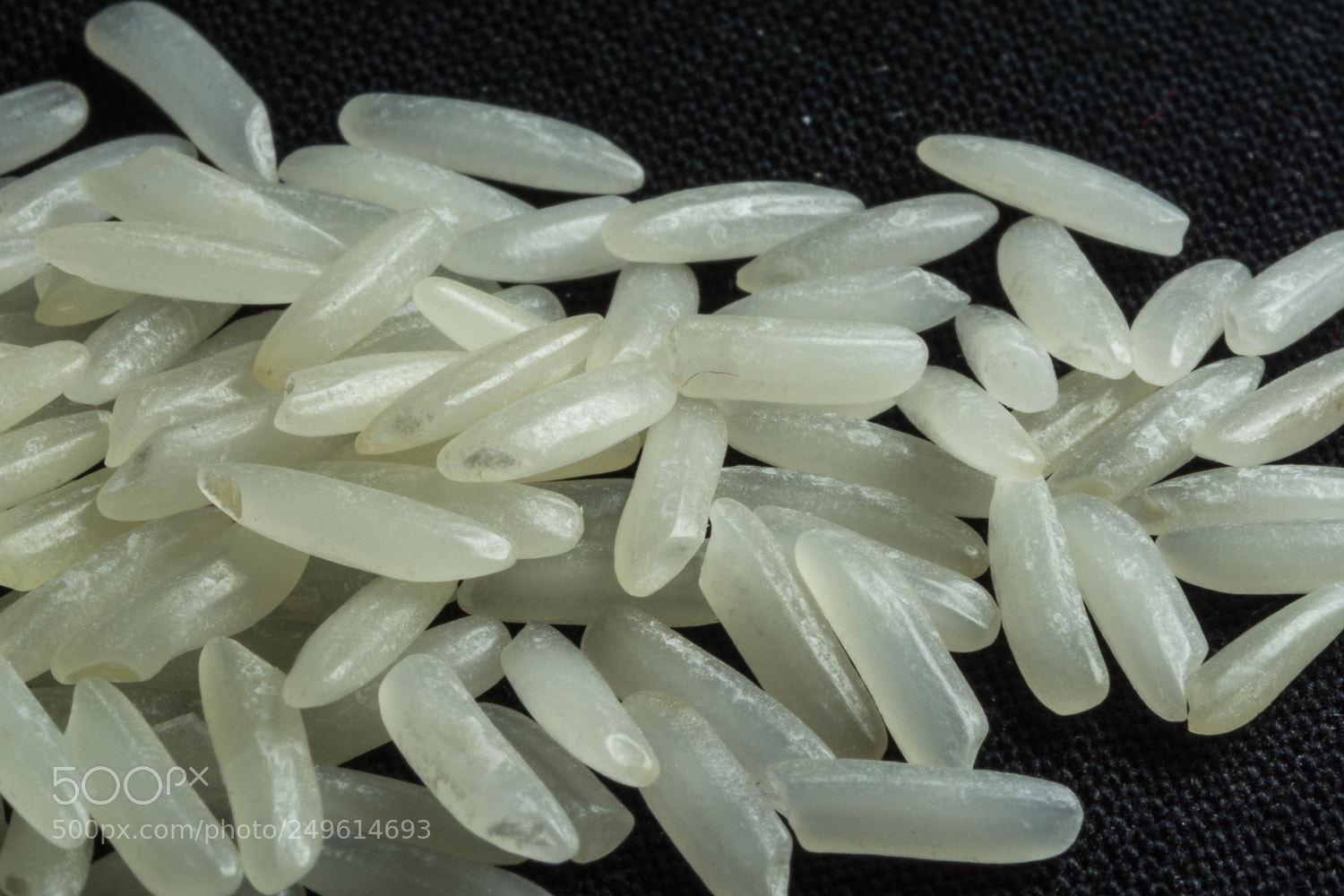Nikon D7100 sample photo. Basmati photography