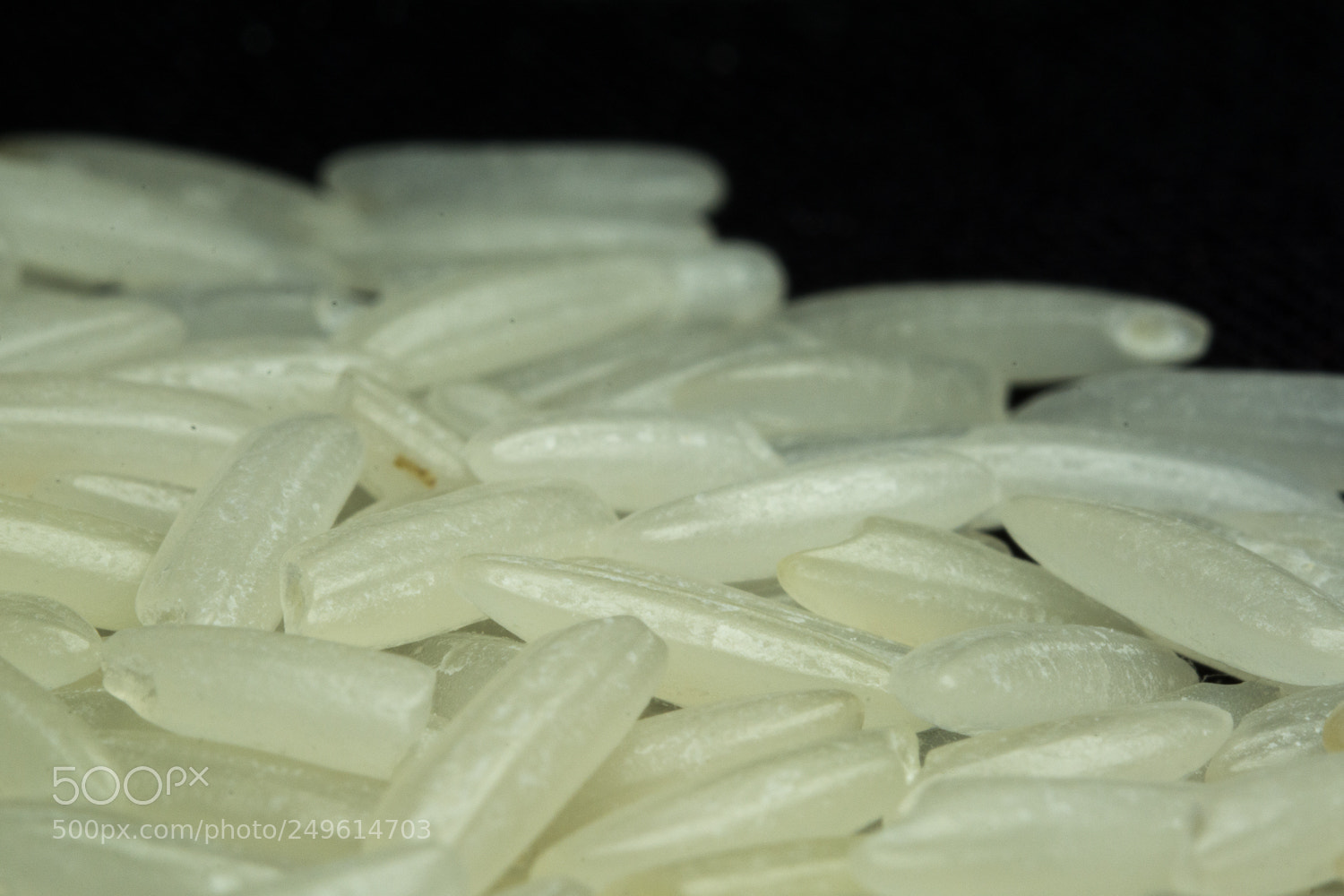 Nikon D7100 sample photo. Basmati photography