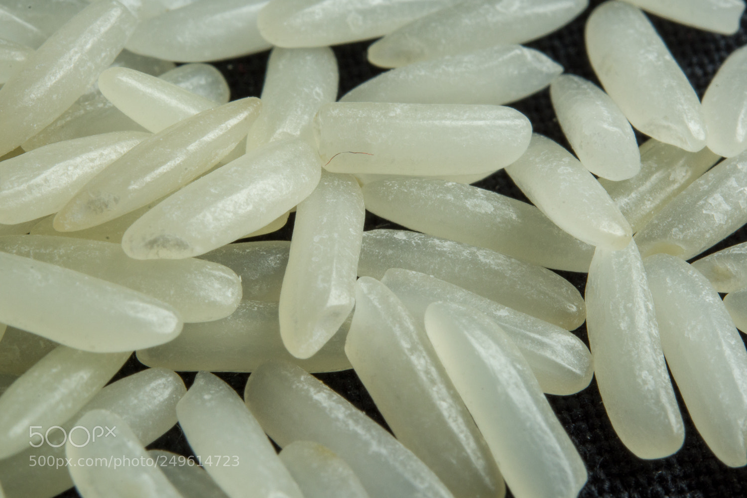Nikon D7100 sample photo. Basmati photography