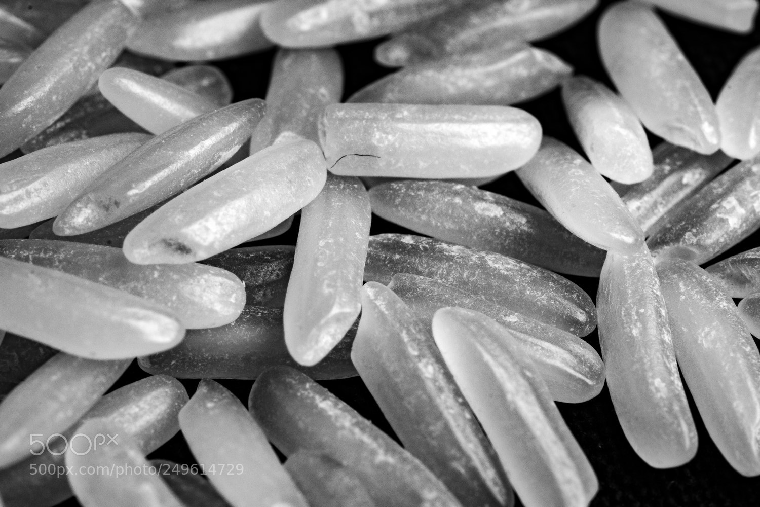 Nikon D7100 sample photo. Basmati photography