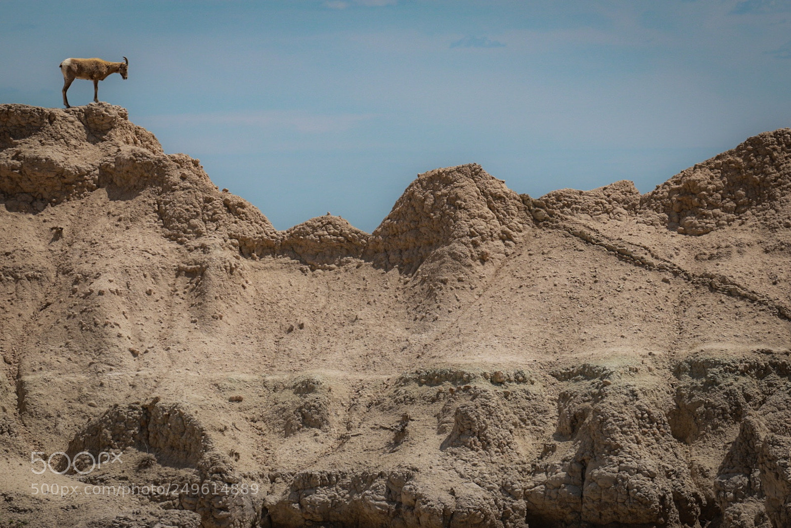 Canon EOS 70D sample photo. Untitled photography