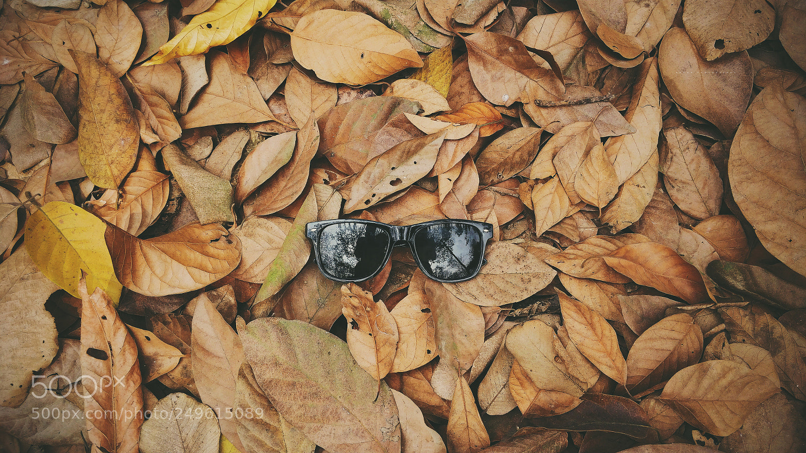 OnePlus 5 sample photo. Shades photography