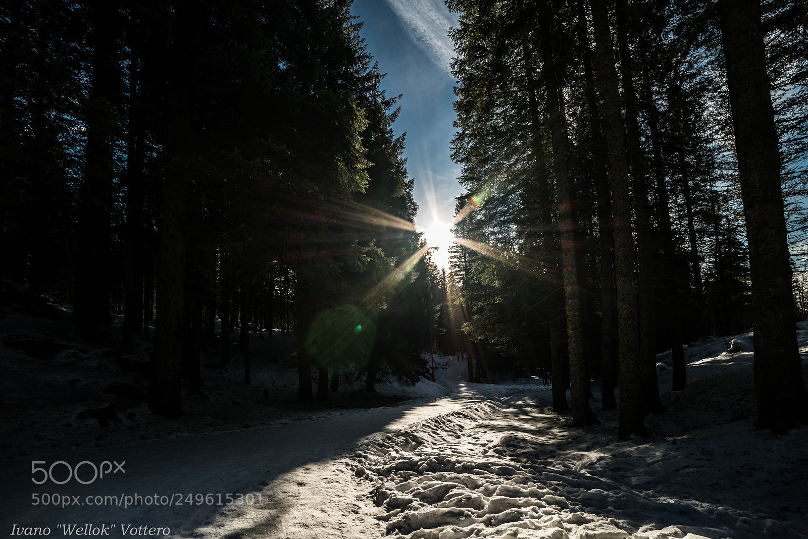 Nikon D800 sample photo. Bergen 2 photography