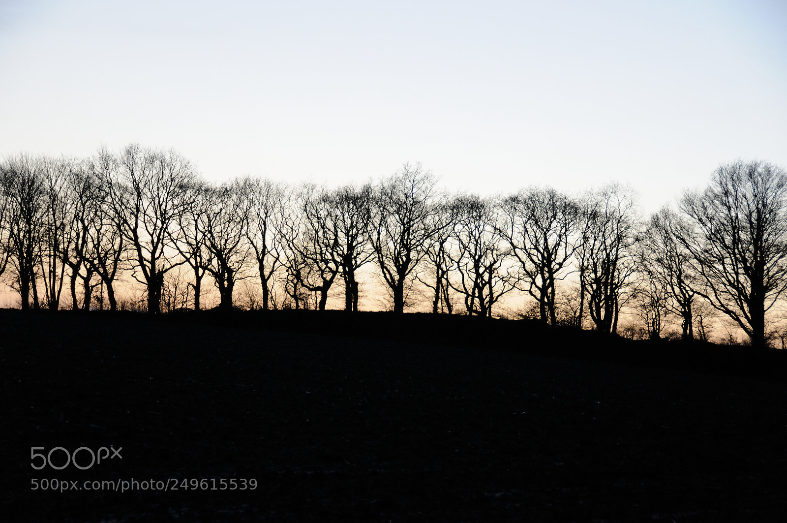 Nikon D300 sample photo. Lanscape photography
