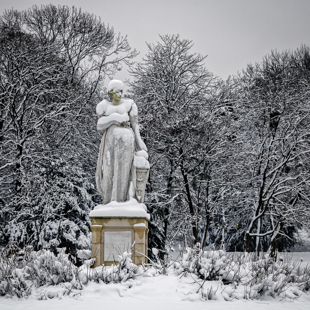 Canon EOS 760D (EOS Rebel T6s / EOS 8000D) sample photo. La statue sous la photography