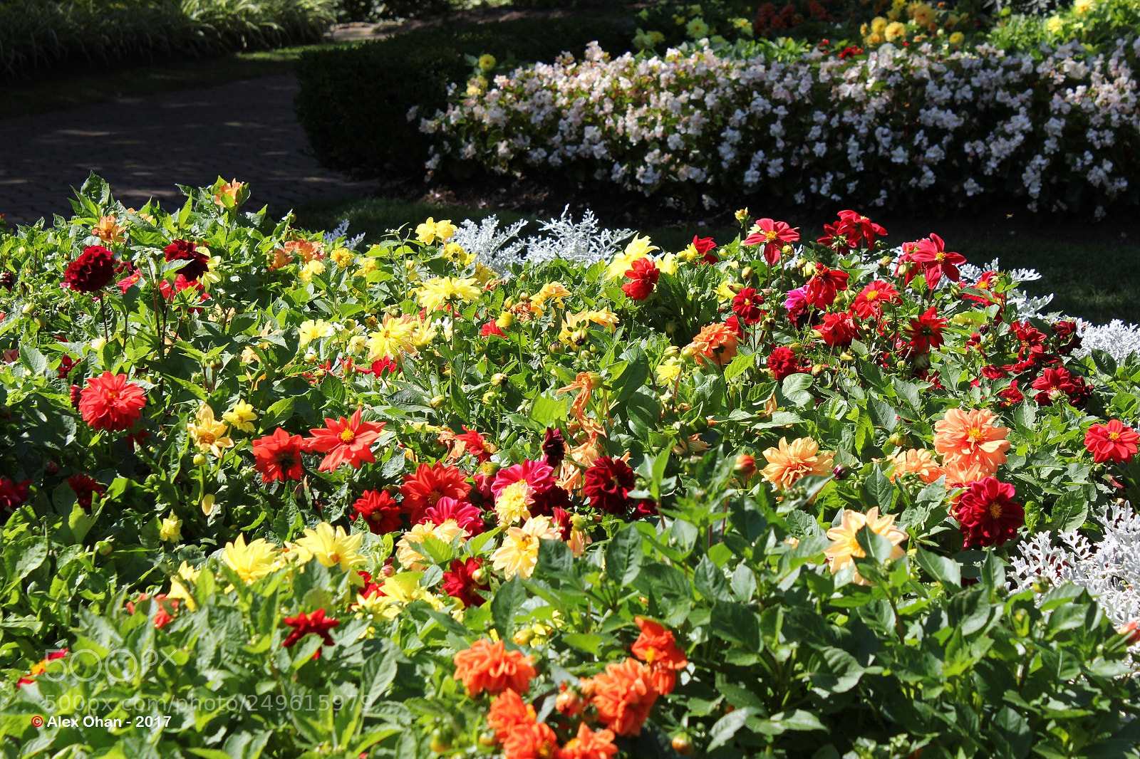 Canon EOS 550D (EOS Rebel T2i / EOS Kiss X4) sample photo. Edward's gardens, toronto, ontario photography