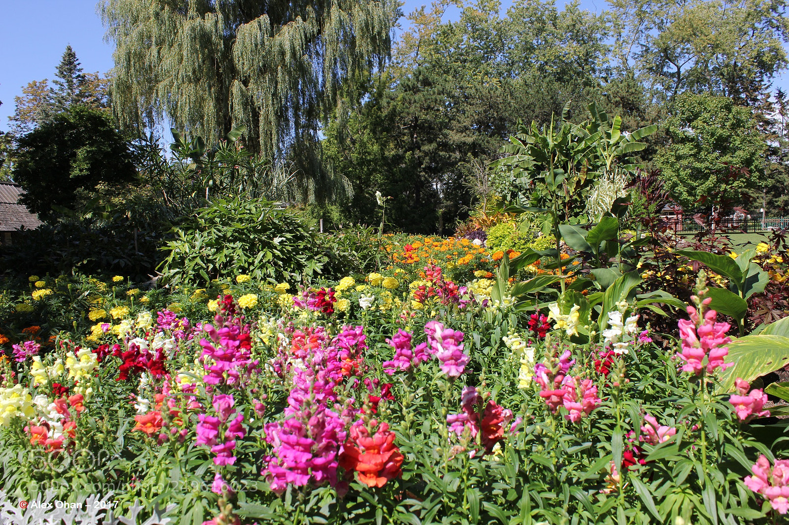 Canon EOS 550D (EOS Rebel T2i / EOS Kiss X4) sample photo. Edward's gardens, toronto, ontario photography