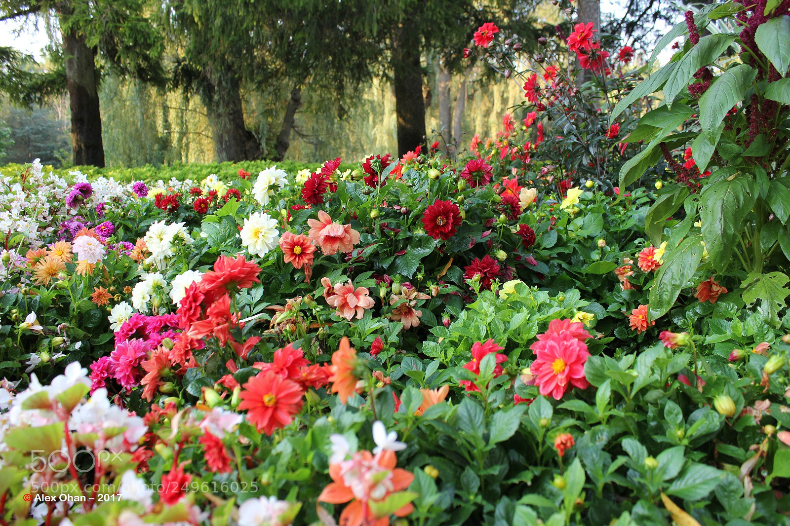 Canon EOS 550D (EOS Rebel T2i / EOS Kiss X4) sample photo. Edward's gardens, toronto, ontario photography