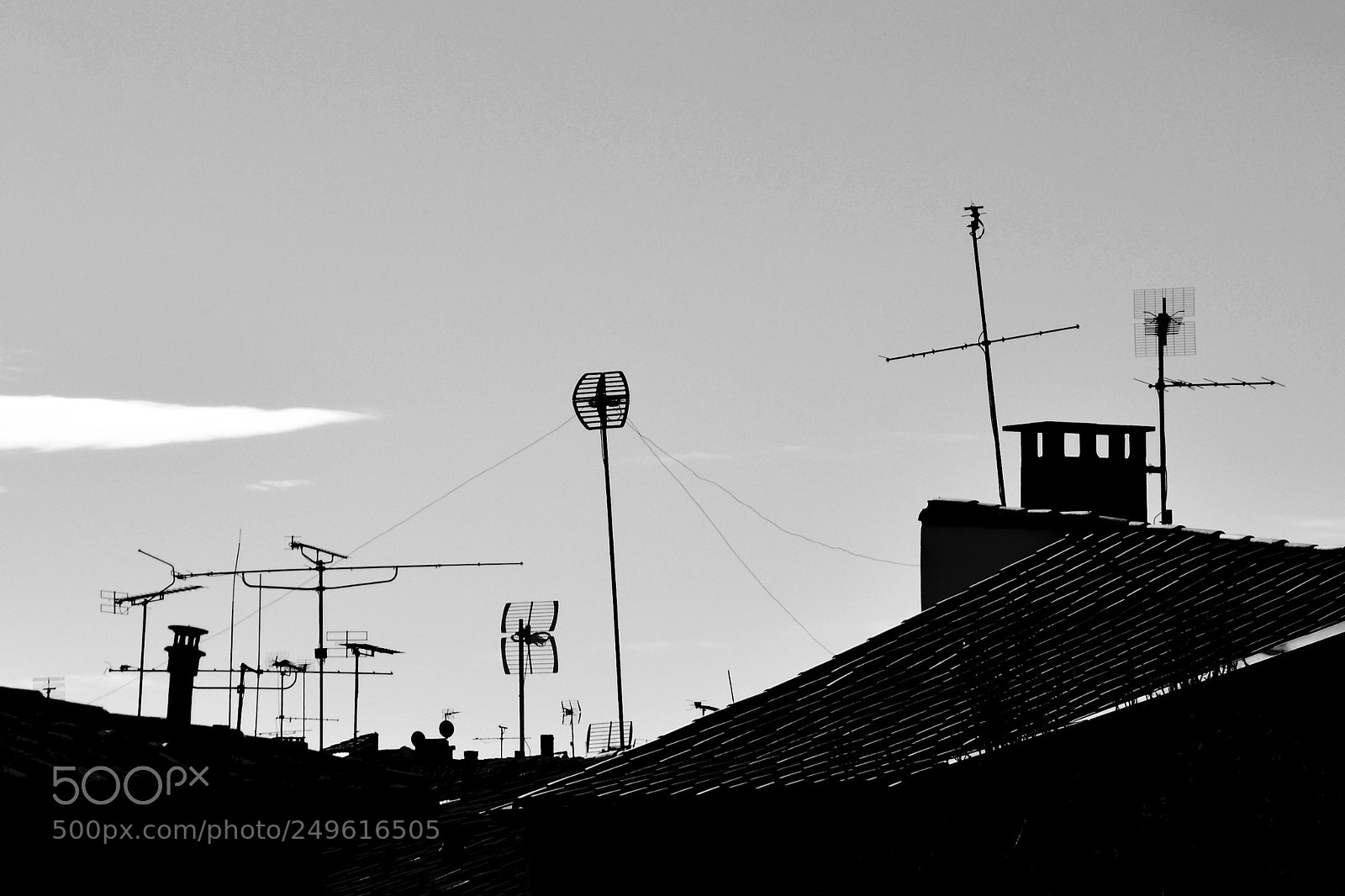 Nikon D5100 sample photo. Sur les toits photography