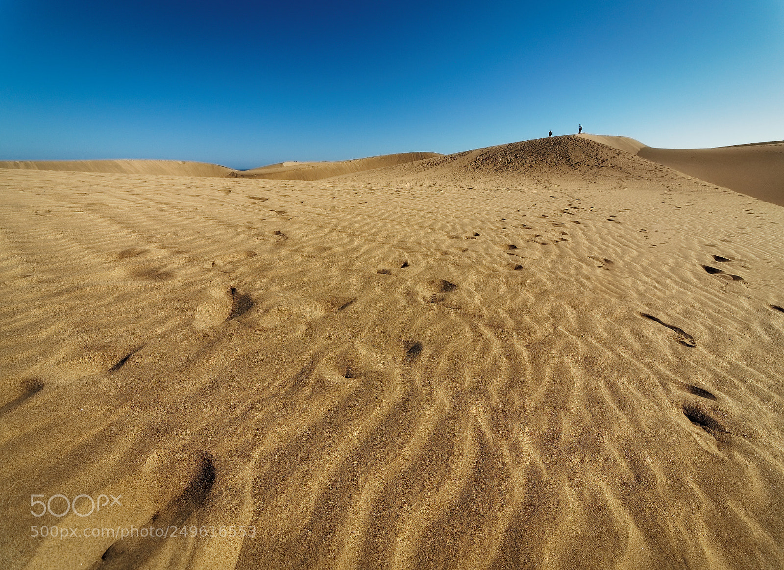 Olympus OM-D E-M5 II sample photo. Dunes of maspalomas photography