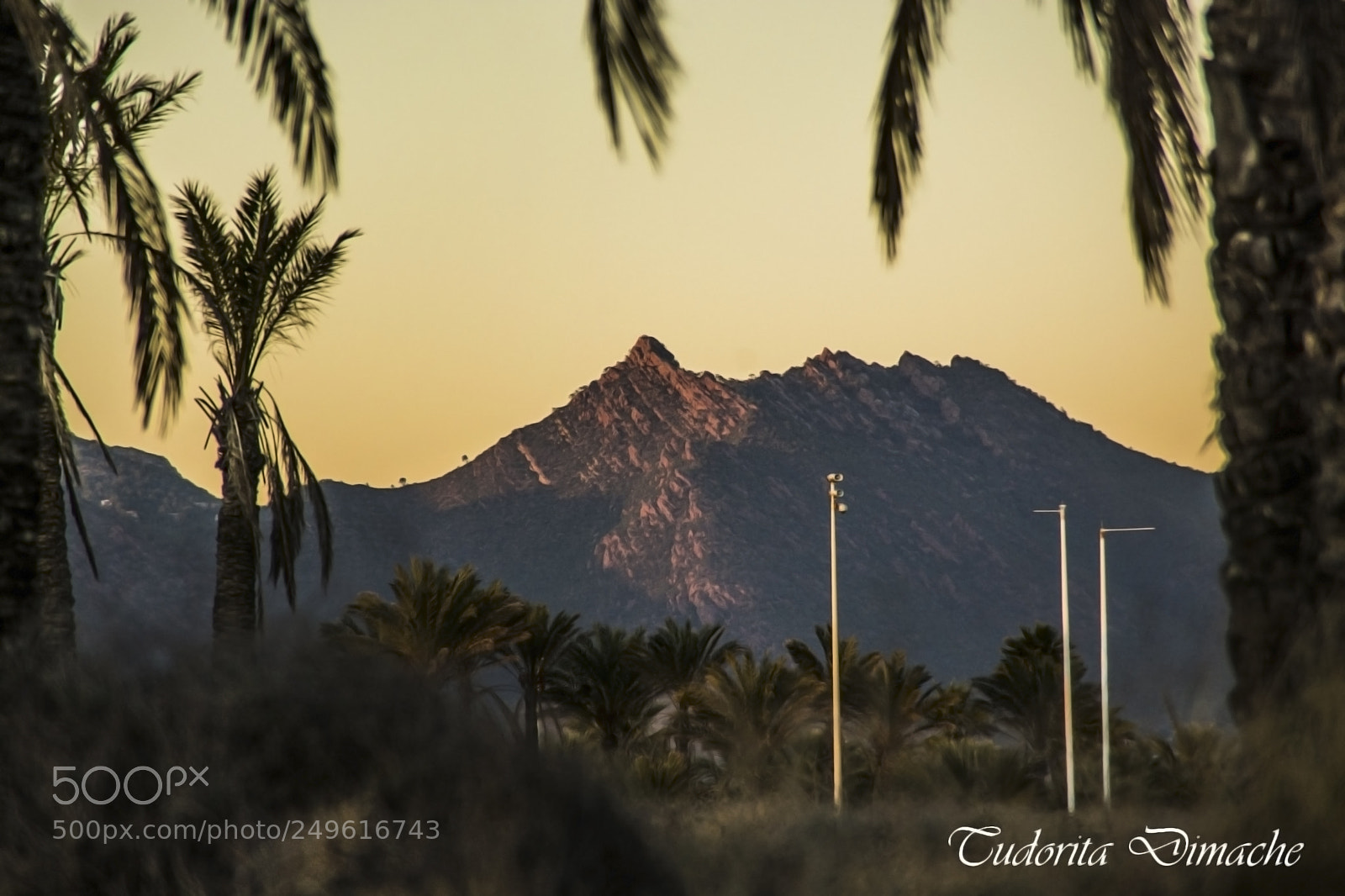 Nikon D7100 sample photo. Nature photography