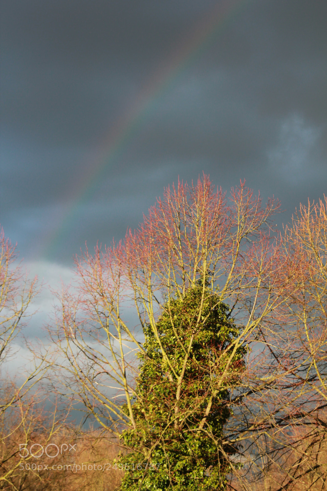Canon EOS 550D (EOS Rebel T2i / EOS Kiss X4) sample photo. Creepy weather photography