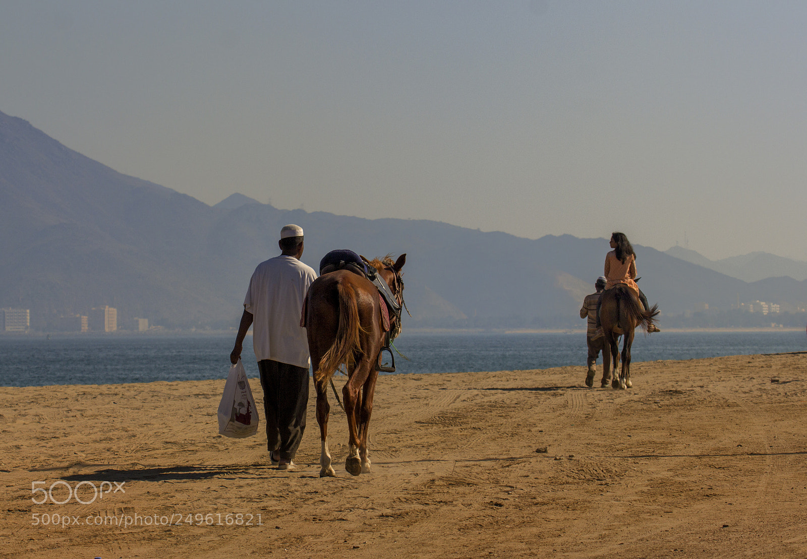 Canon EOS 60D sample photo. Migration photography
