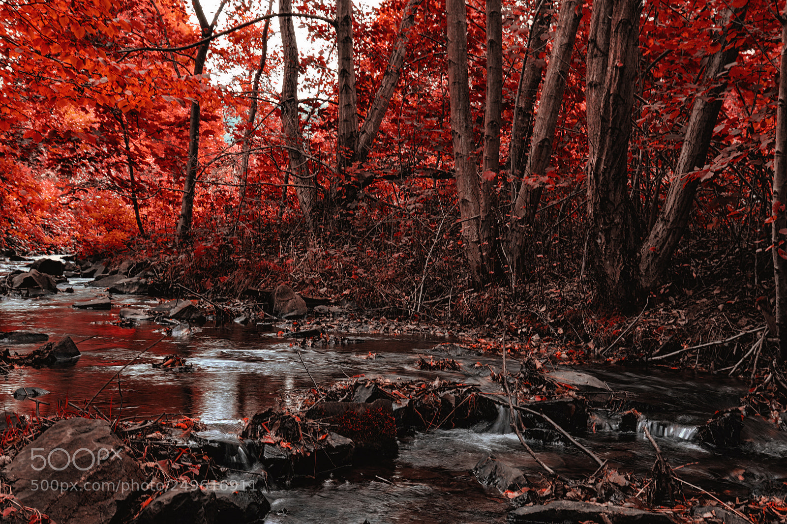 Canon EOS 7D Mark II sample photo. Little redriver photography