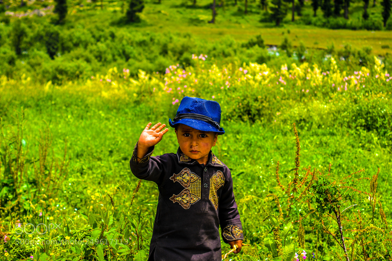Nikon D5200 sample photo. 015.jpg photography
