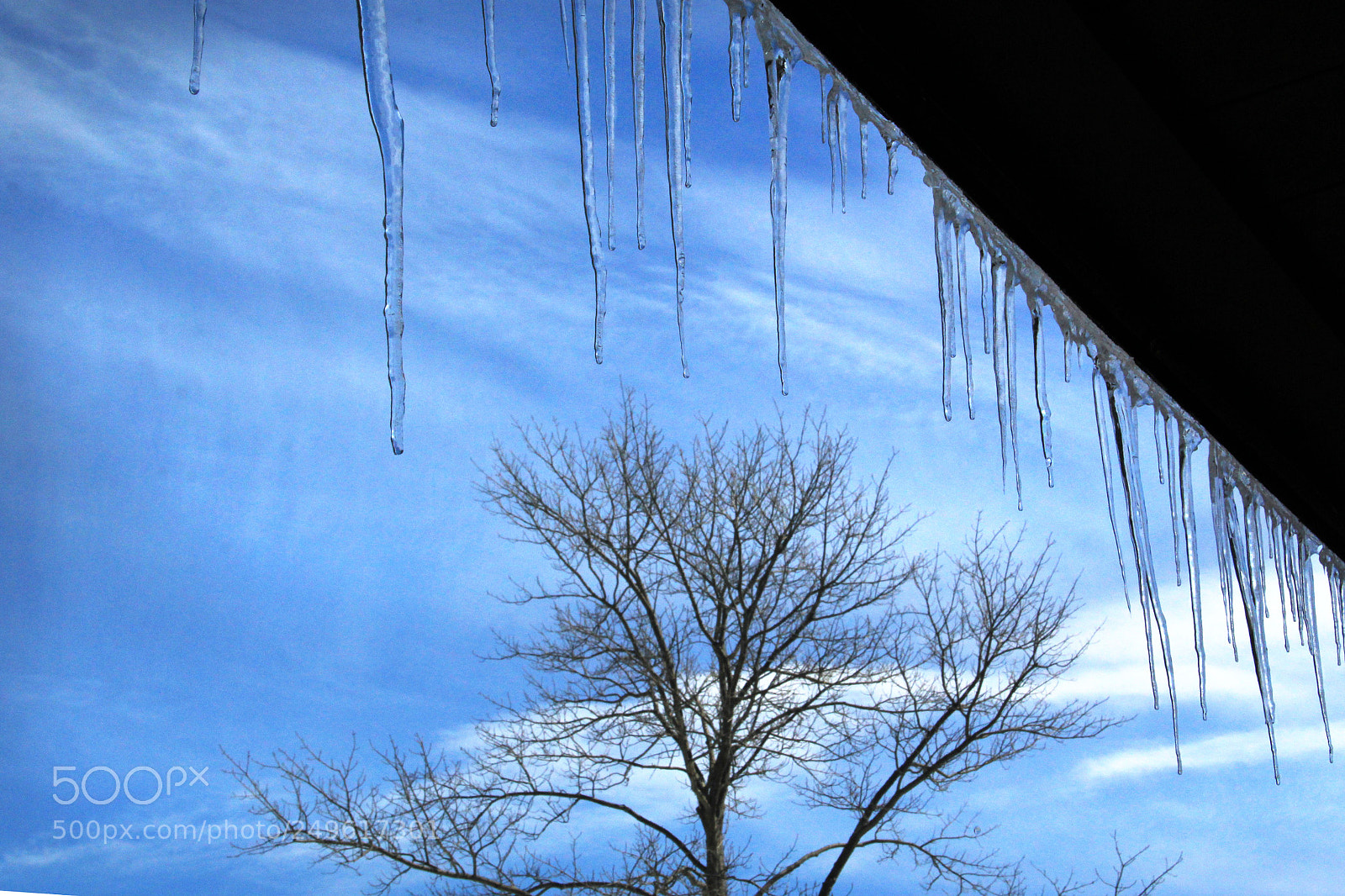 Canon EF-S 18-135mm F3.5-5.6 IS sample photo. Icicles and bare tree photography