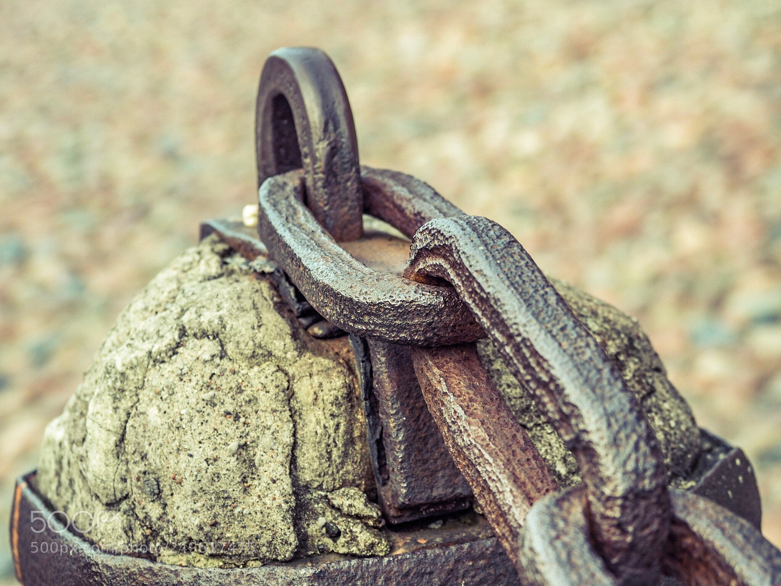 Olympus OM-D E-M1 Mark II sample photo. Part of the chain photography