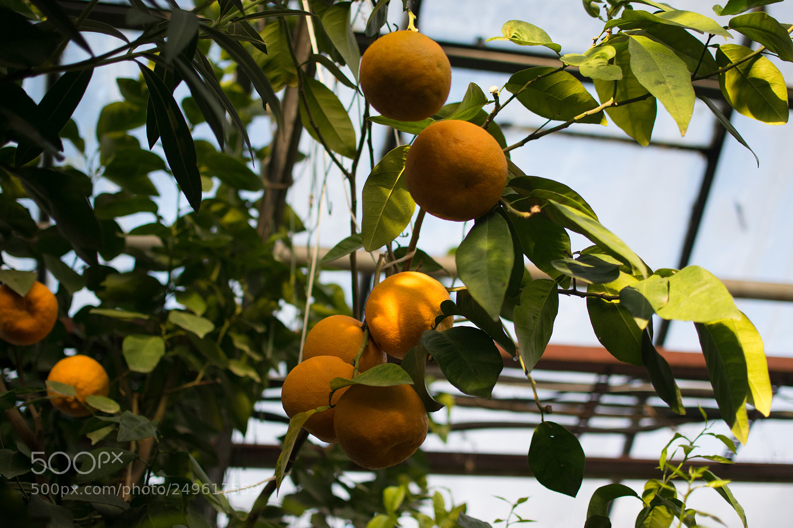 Nikon D3300 sample photo. Dsc photography