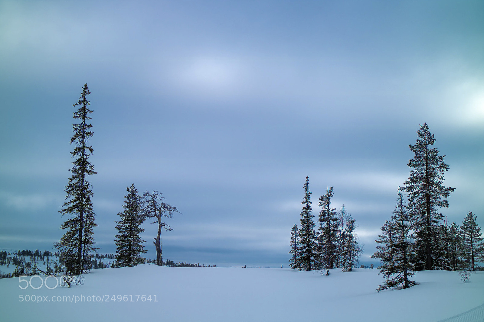 Canon EOS M3 sample photo. Under the winter sky photography