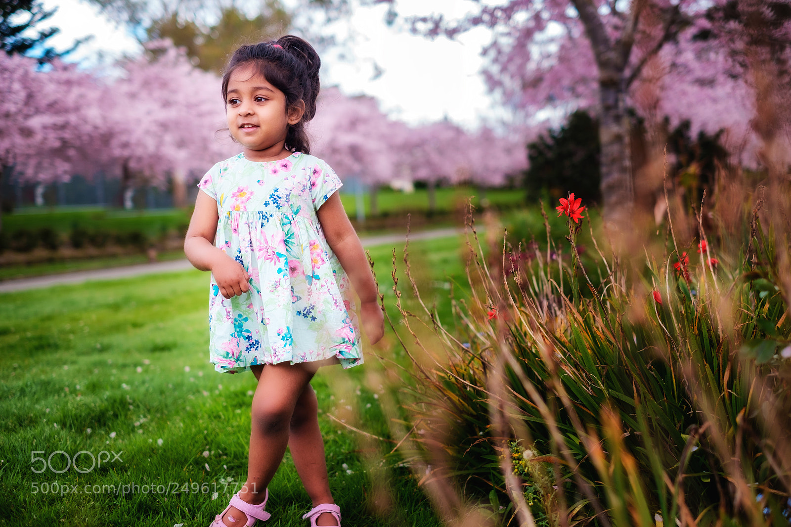 Fujifilm X-T1 sample photo. Spring photography