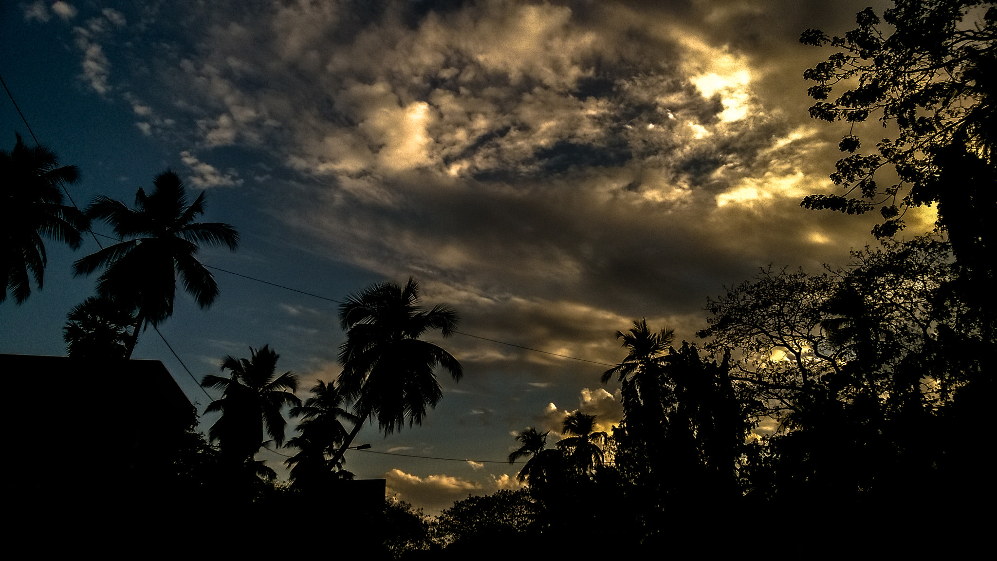 Nokia Lumia 730 Dual SIM sample photo. Sky palms photography