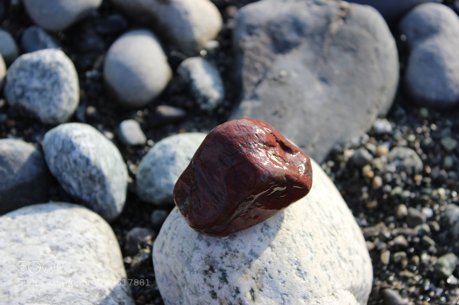 Canon EOS 600D (Rebel EOS T3i / EOS Kiss X5) sample photo. Img photography