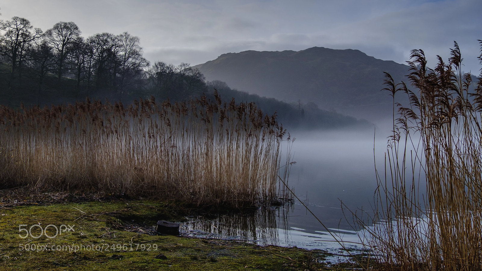 Fujifilm X-T2 sample photo. Mist over the lake photography
