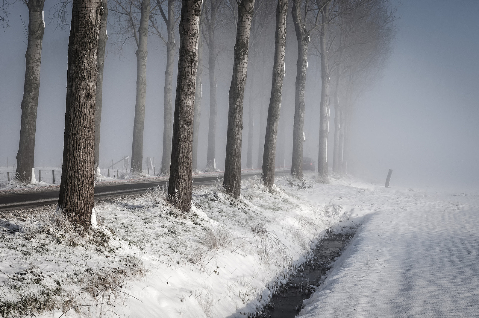 Nikon D300S sample photo. Passing of winter photography
