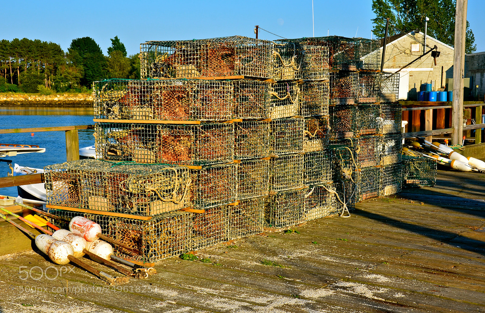 Nikon D7000 sample photo. Lobster traps photography