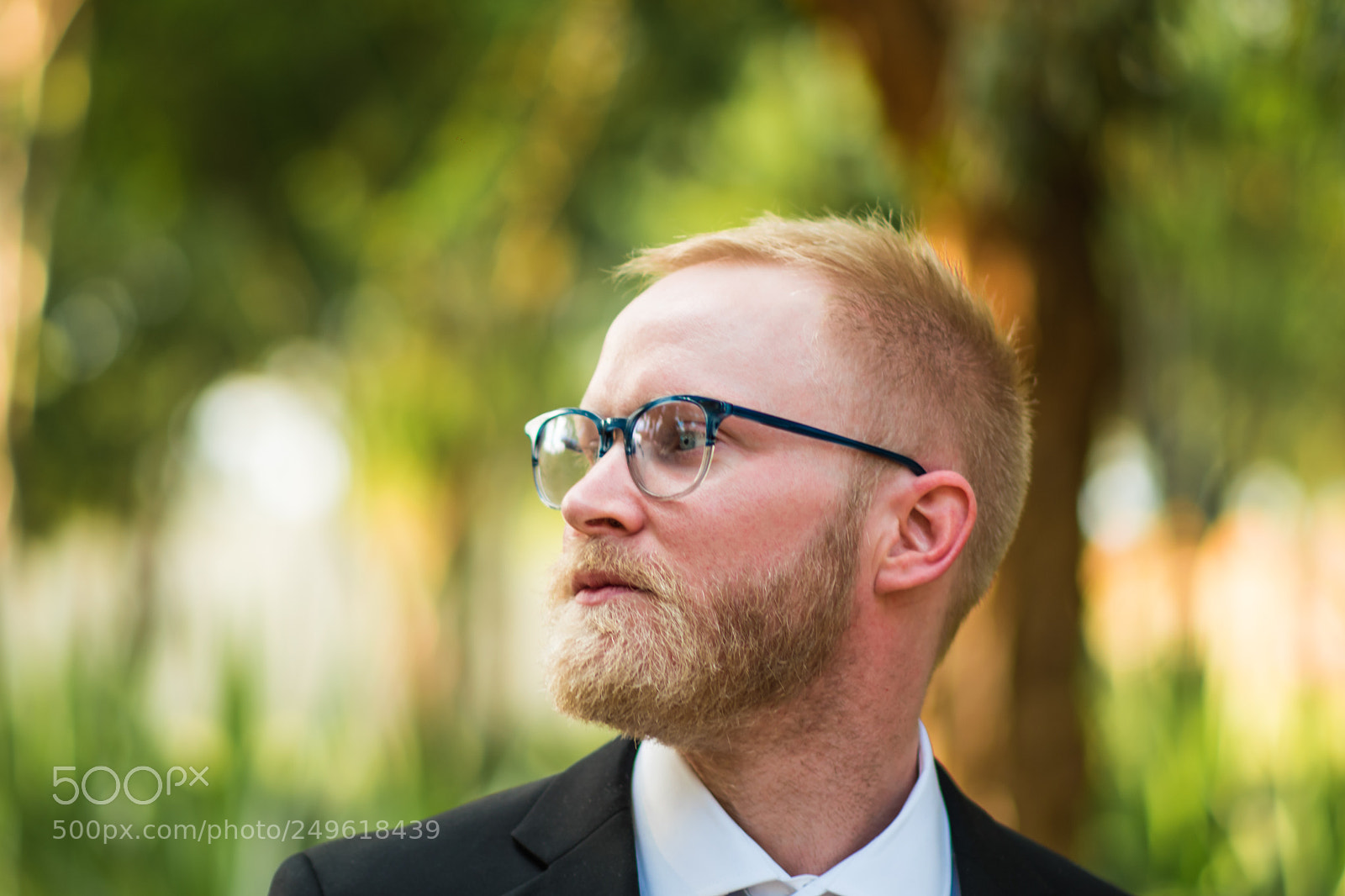 Nikon D5500 sample photo. 20180217-jsp_2367-1.jpg photography