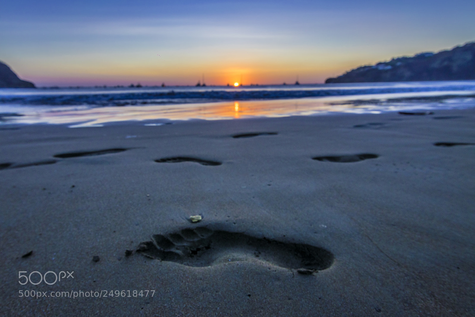 Nikon D5500 sample photo. Jsp_4163-1.jpg photography
