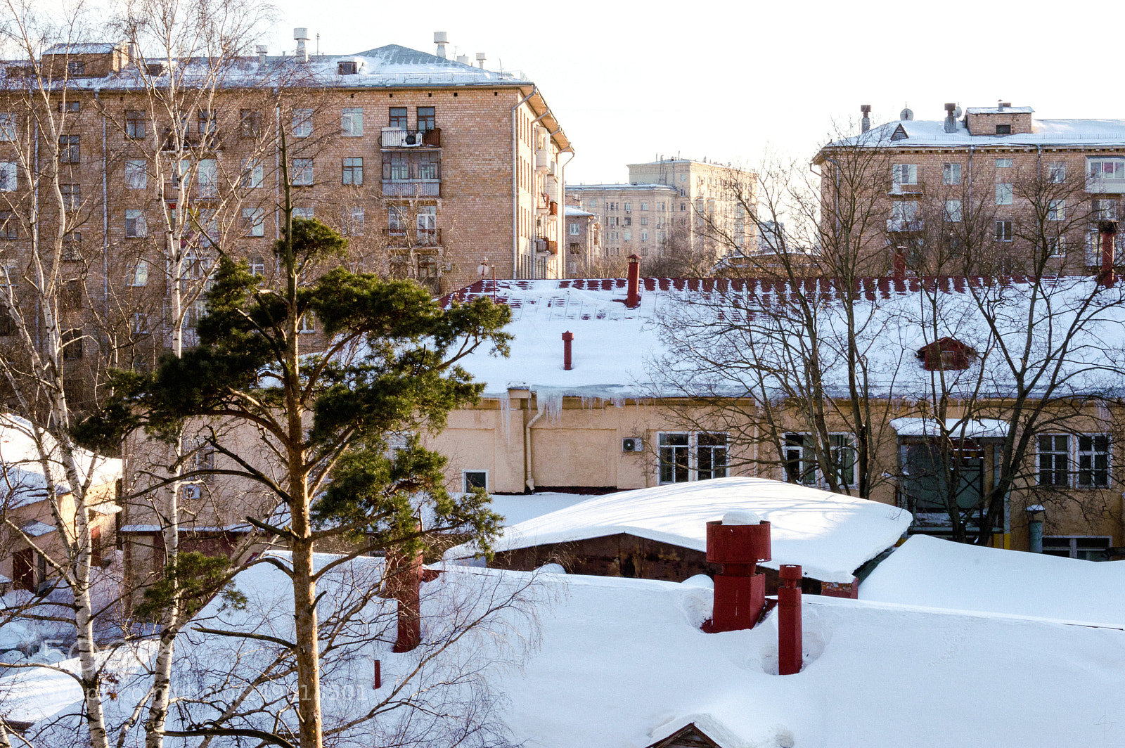 Nikon D3200 sample photo. Spring? photography