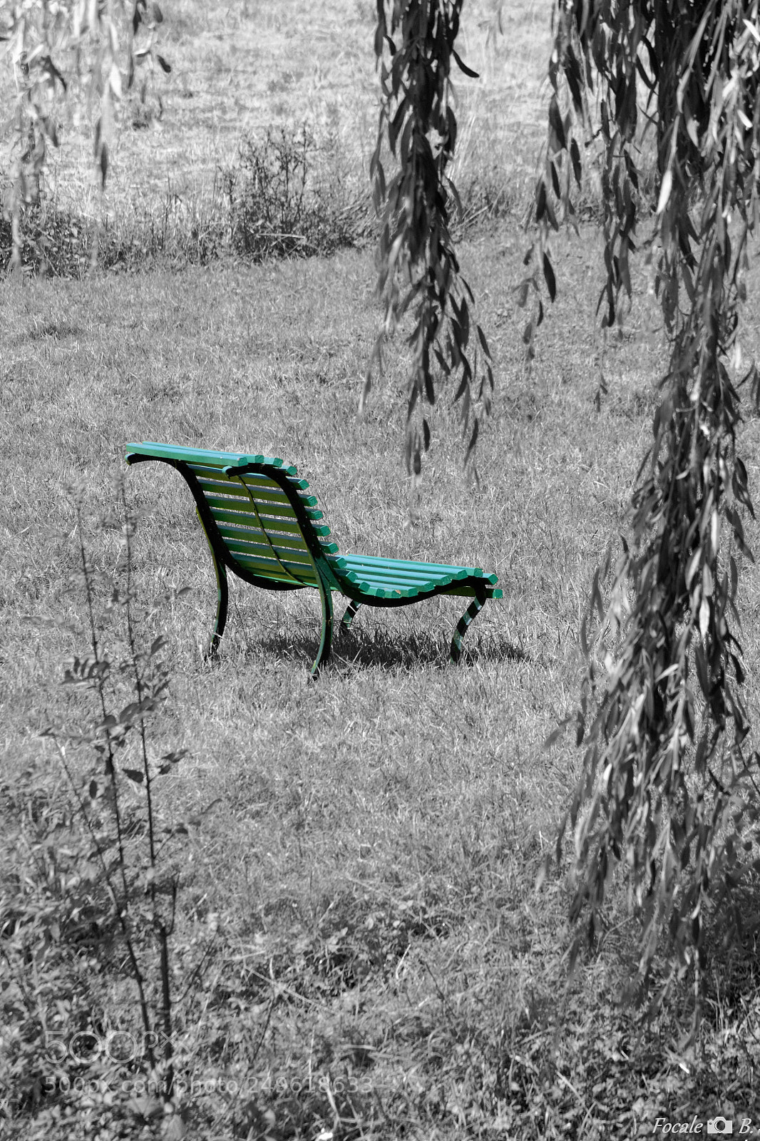 Canon EOS 1100D (EOS Rebel T3 / EOS Kiss X50) sample photo. The green bench photography