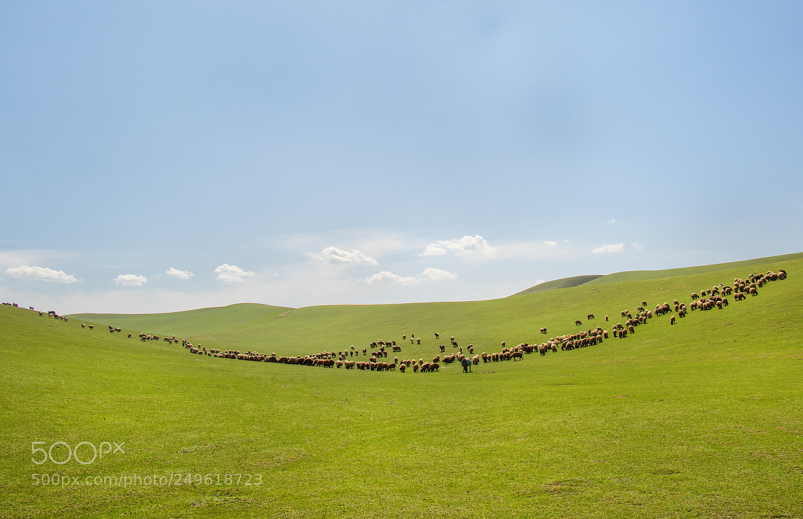 Canon EOS 7D Mark II sample photo. Green hill photography