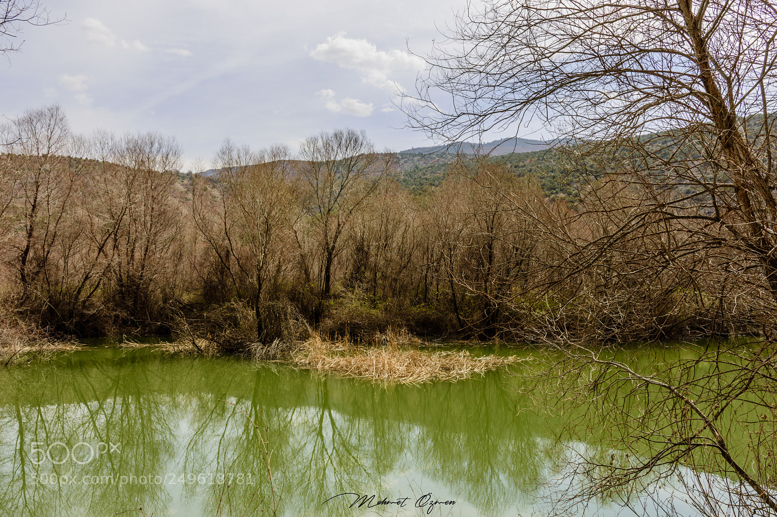 Nikon D7200 sample photo. Sazlık photography