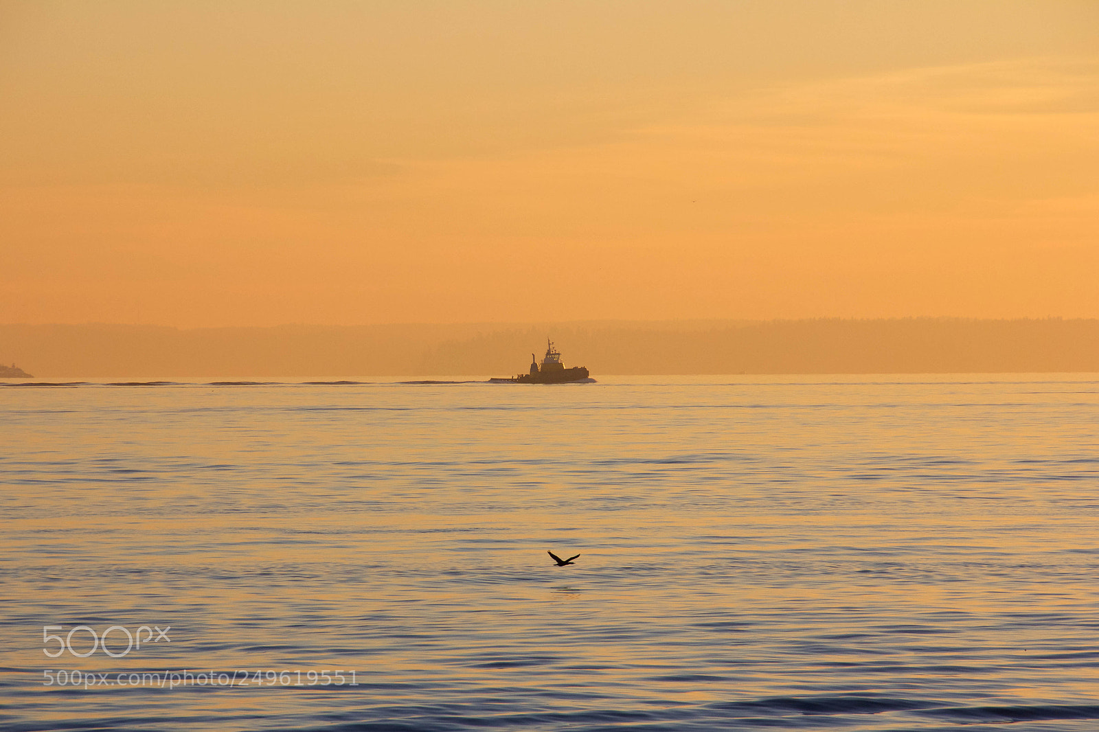 Canon EOS 60D sample photo. Skimming sunset photography