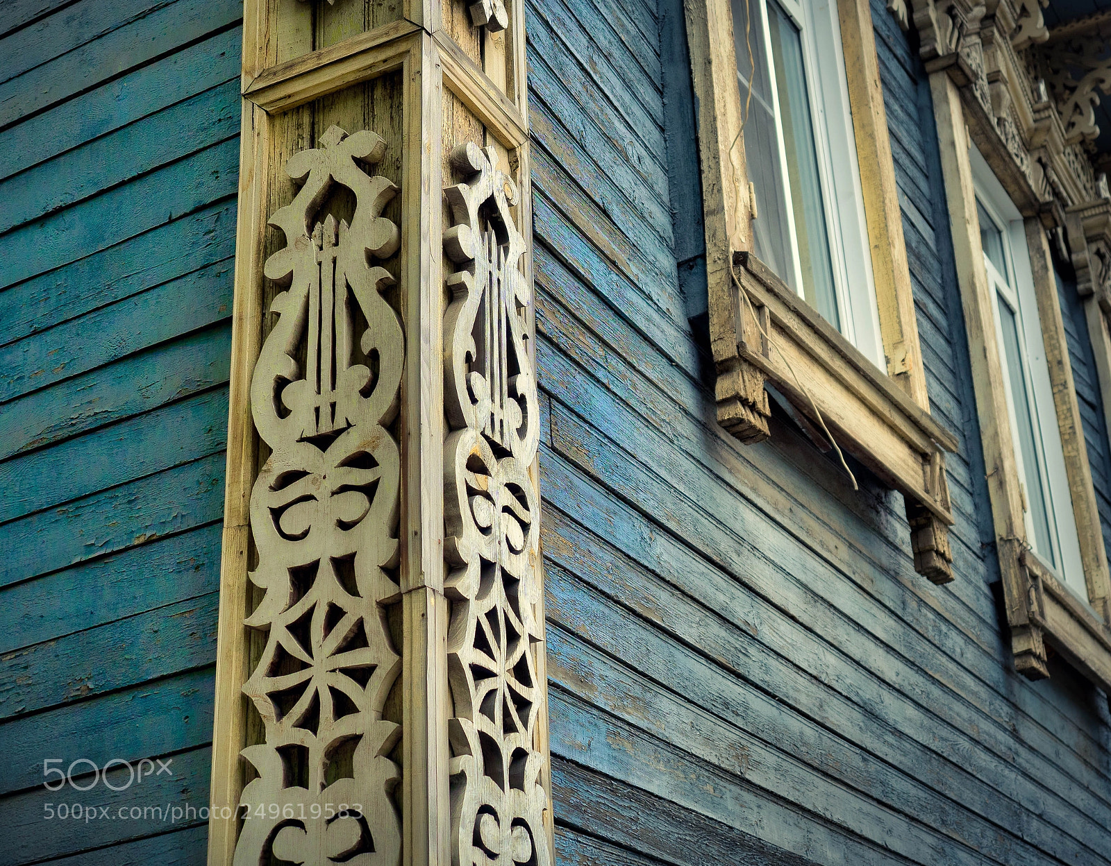 Olympus OM-D E-M5 II sample photo. The weave / Узор photography