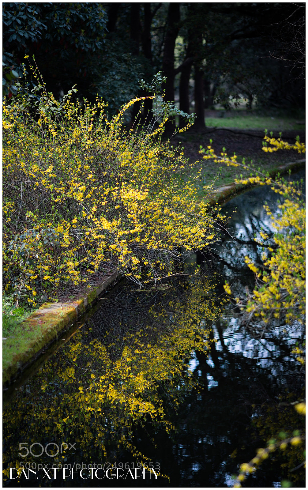 Nikon Df sample photo. Spring is coming photography