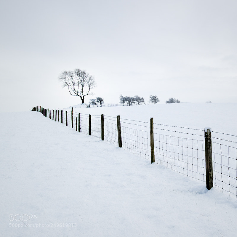 Canon EOS M3 sample photo. Setrah hill snow photography