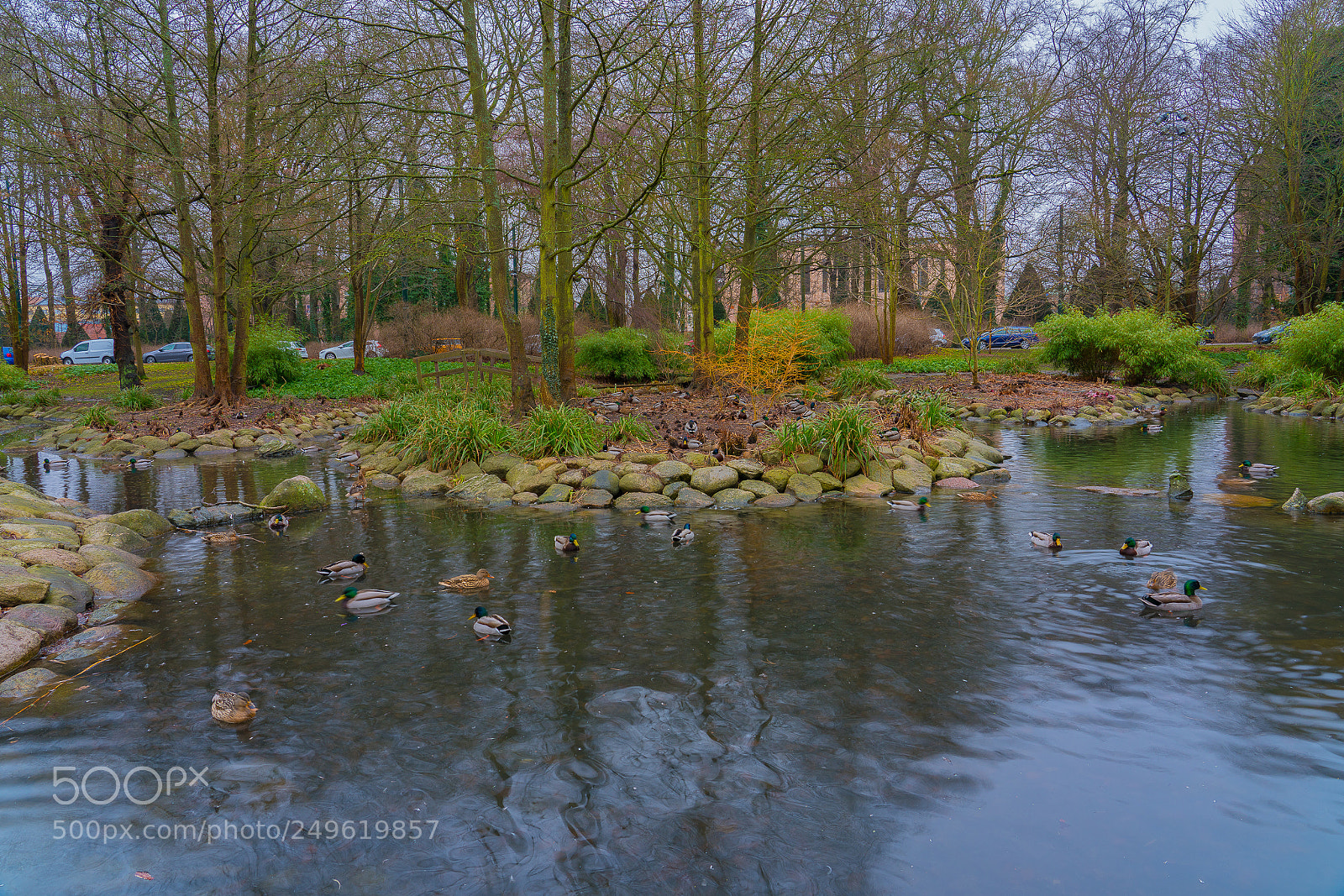 Sony a7R II sample photo. Duck duck go photography