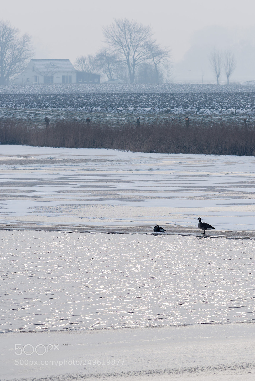 Nikon D610 sample photo. Winter photography